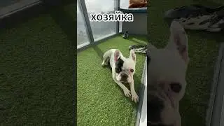 Хозяюшка🍜