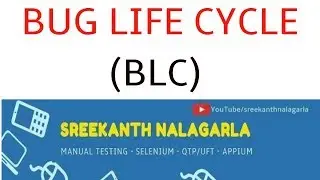 What is Bug Life Cyle ? OR What is Defect Life Cycle?