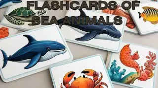 We Tested 100 Flashcards and Found the BEST Sea Animals for Learning
