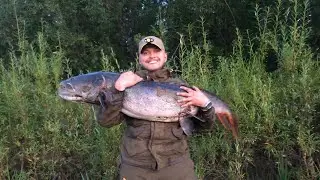 ТРОФЕЙНАЯ РЫБАЛКА НА РЕЧНОГО ТИГРА (ТАЙМЕНЯ)