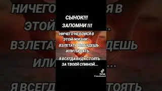 1 апреля 2024 г.