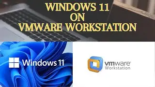 Install Windows 11 on VMware Workstation