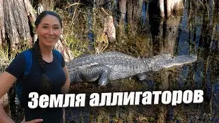Луизиана, Миссисипи, Флорида. Путешествие вдоль берега Мексиканского залива. Аллигаторы.
