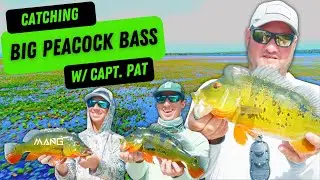 Peacock Bass Fishing in South Florida