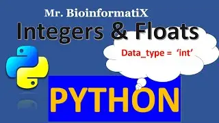 Data Types: Integers & Floats in Python | Python for beginners