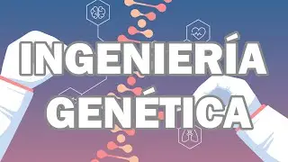 BIOQUÍMICAMENTE: ¿Qué es la ingeniería genética? ¿Qué son los vectores de clonación?