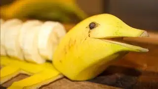 Fun Food For Kids | Banana Dolphin