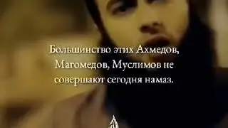 Где вы мусульмани которые жили и удирали ради Аллаха ☝️