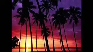QUABEATS - 29 Island [Audio]