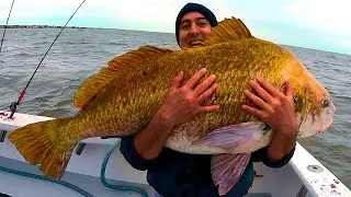 DO THIS & Catch Monster Inshore Fish (Black Drum)