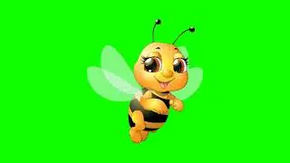 NO COPYRIGHT Green Screen   BEES