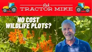 Creating Free Wildlife Habitats With Native Plants