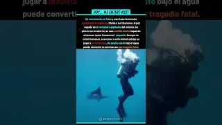 ¡A Un Milímetro De Ser Atravesado En El Mar! 🥶 227% 