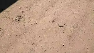 повышенный расход масла