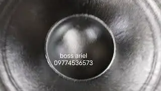 LIVE STORM 15@7K 700W DOUBLE MAGNET