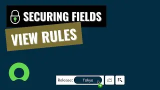 ServiceNow – Securing Fields – 4  View Rules