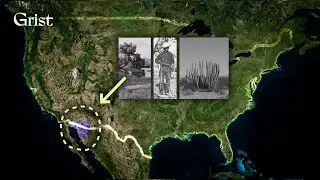 How US efforts to protect an Indigenous oasis almost led to its demise