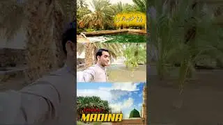 Ziyarat e Madinah Garden Salman Farsi مزرعة سلمان فارسي #shorts