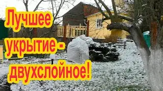 Самое практичное  укрытие растений