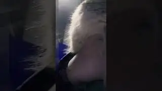 Смотрю реакцию моего кота на Лилушу