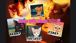 My Warrior Cats OC's Deaths and Last Words (In Order - 1st to Last)