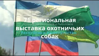 71я региональная выставка охотничьих собак.