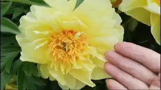 Для друзей канала Живая Почва