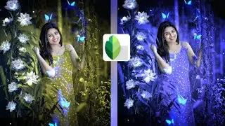 New Snapseed Background Colour Change Tricks | Snapseed Photo Editing | Snapseed Background Editing