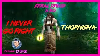 I NEVER GO RIGHT - Feral Druid - PvP - WoW BFA 8.3.0