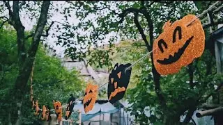 VLOG: Готовимся к Самайну 🎃. Украшаю комнату. 30,10,24.