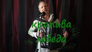 КРАПИВА-ЛЕБЕДА!!! Зажигательная песня, зажигательно исполнена!!!