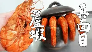 比手掌還大的蝦！巨蝦的味道如何？｜RICOの食材圖鑑