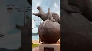 Русские впервые в южной корее 