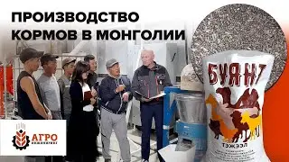 Линия производства  экструдированных и гранулированных кормов. Запуск в Монголии.
