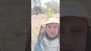 весенние работы на пасике, и почему мы снова купили пчел!