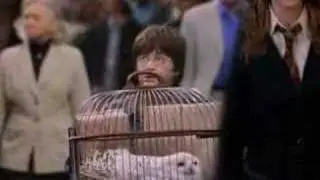 Harry Potter/Life Is Beautiful Mash-Up Trailer