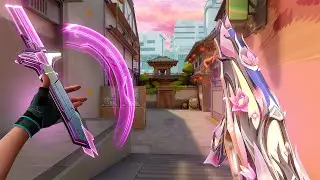 Top 1% Aim + 240Hz = Clutch...🤷‍♂️