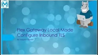 Flex Gateway Part VII -Configure Inbound TLS Context for Flex Gateway deployed in Docker- Local Mode