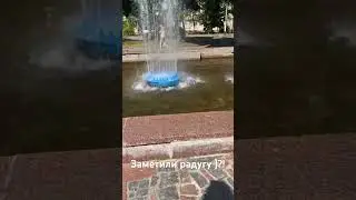 ЗАМЕТИЛИ РАДУГУ? #житомир #кошкииринышевчук #иринашевчуккотики #радугажитомир