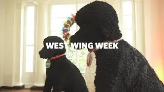 West Wing Week: 12/02/16 or, "Push a Button and it's Electrified!"