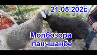 Молбозори панчшанбе нархи буз гусфанд ва дигар асбоби рузгор (21.05.2020)
