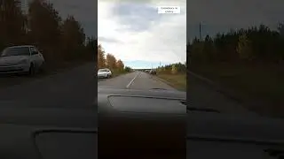 Как грибники атакуют леса!