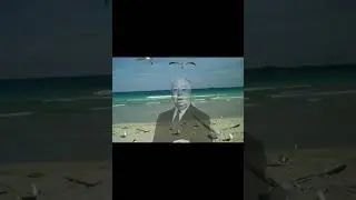 The Birds #shorts #viral