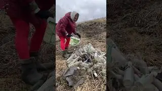 Уборка мусора