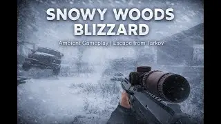 Escape From Tarkov - Snowstorm Ambience | Woods Daytime (1 Hour)