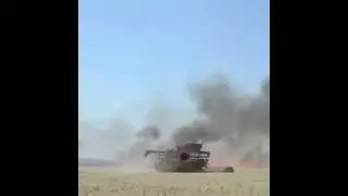 13 июля 2022 г.