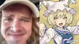 a doubious little creature from the touhou series