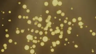 Yellow Bokeh Background, Bokeh Video Background, Loop Bokeh Motion Graphics (1 Hour)