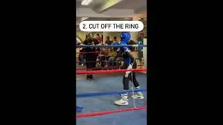 Boxing Tips - 3 Ways To Drain Your Opponents | Boxing Undefeated