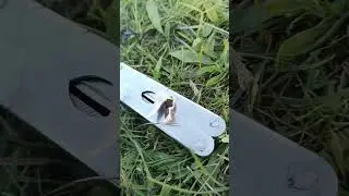 фокус с дымом
